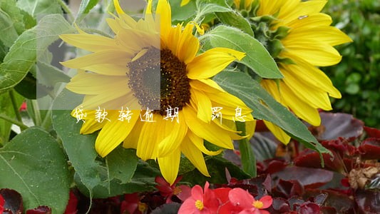 贷款转逾期 罚息 贷款转逾期 罚息